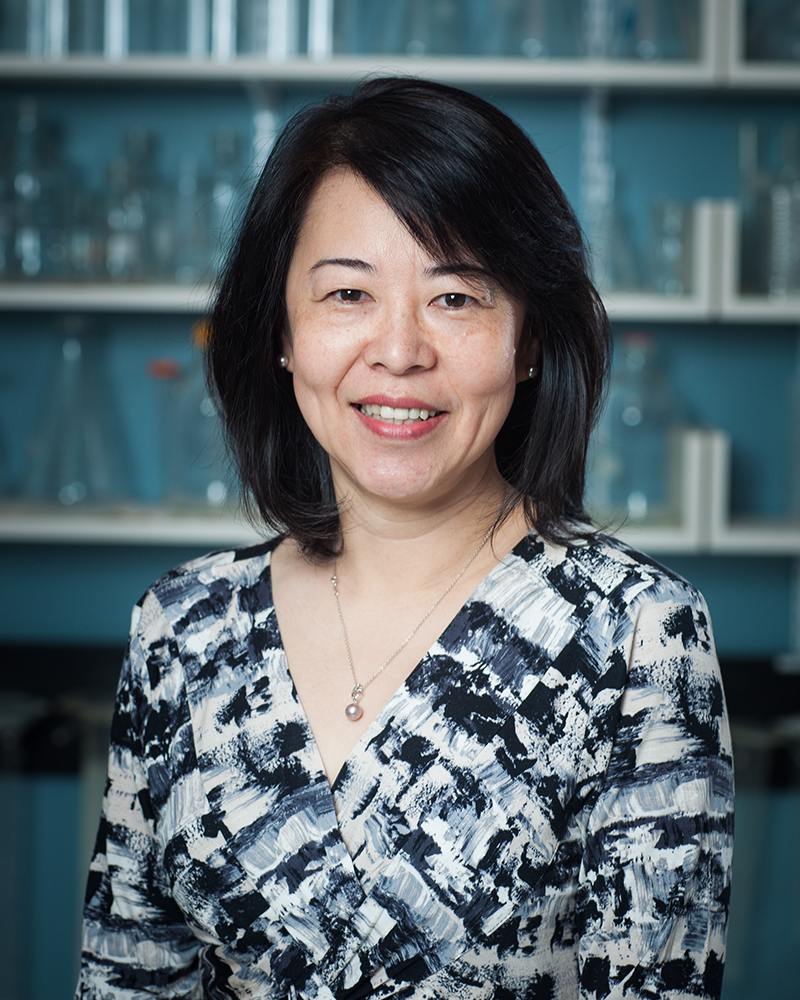 Ying Zhang, Ph.D.