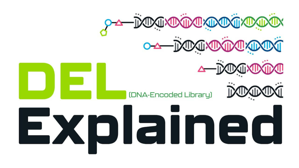 del explained x-chem