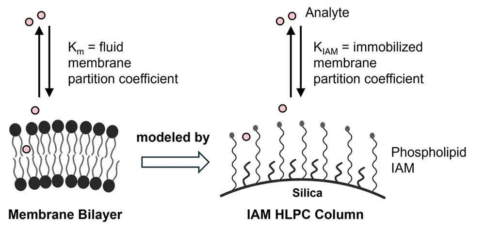 IAM-hplc